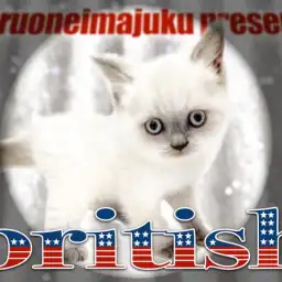 【 ブリティッシュショートヘア 】レアカラーを纏った甘えん坊の丸顔にゃんこ登場!