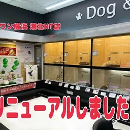 【 リニューアルオープン 】港北NT店がリニューアルオープンしました！
