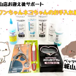 【 城山店お迎え後サポート 】ワンちゃんネコちゃんのお手入れ編