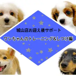 【 城山店お迎え後サポート 】ワンちゃんのトレーニング&しつけ編