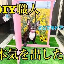 【 5/27映えスポット 】DIY番長が本気を出してきたの巻!