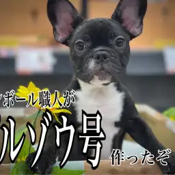 【 5/13俺の愛車 】ダンボール職人の工作タイム!ブルゾウ号作っちゃったの巻!