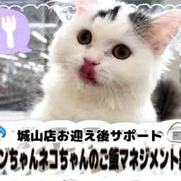 【 城山店お迎え後サポート 】ワンちゃんネコちゃんのご飯マネジメント編