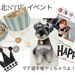 【 イベント情報 】日頃の成果でウチの子自慢をしちゃいましょう!