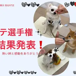 【 イベント情報 】熱い絆をありがとう!大好評マテ選手権大会、結果報告!