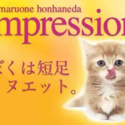 【 ミヌエット 】レッドカラーの元気玉!愛らしすぎてイチコロよ!