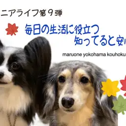 【 お役立て情報 】シニアライフ第9弾!毎日の生活に役立つ知ってると安心