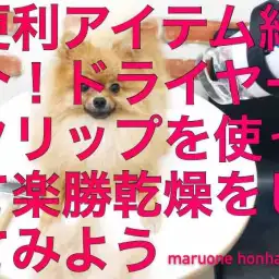 【 ドライヤークリップ 】超便利!ワンコのドライヤーを楽にするアイテム!