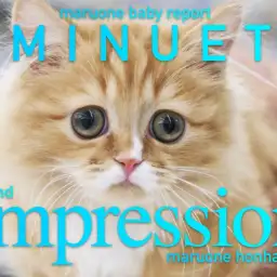 【 ミヌエット 】生後4ヶ月の成長記録!驚異の超ド短足は健在!