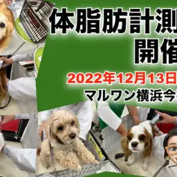 【 今宿店イベント情報 】12/13(火)ワンちゃんの体脂肪計測会のお知らせ！
