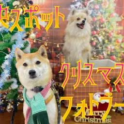 【 クリスマスフォト 】好評のフォトブースで思い出つくり!!