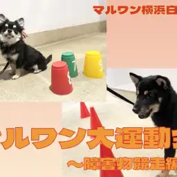 【 マルワン大運動会 】最速王は誰だ!?コーンを使って徒競走編