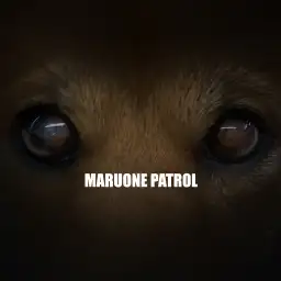 【 わんわんパトロール 】お散歩しながら見守る部隊!隊員募集中!!