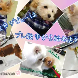 【 お散歩デビューはプレ散歩から! 】高井戸ベイビーズお散歩デビューへの道!