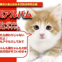 【 ノルちゃん の成長アルバム】社交性が凄すぎると話題のノルちゃんの成長記！