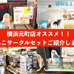 【 商品レビュー 】わんちゃんお迎えの強い味方!元町サークルセットご紹介!!