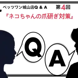 【 ペッツワン城山店Q&A 】第4回『ネコちゃんの爪研ぎ対策』