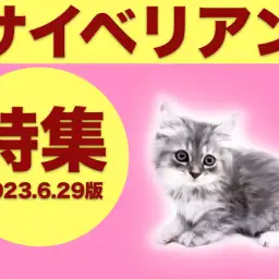 【 サイベリアン特集 】6/29現在在店中の低アレルゲンCAT!サイベリアン特集