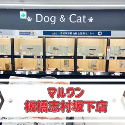 【 マルワン店舗紹介 】ここに来れば何でも揃う！オリンピック志村坂下店をマルっとご紹介！