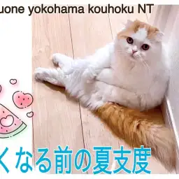 【 お役立て情報 】暑い夏がやってくる前の知ってると安心