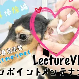 【 レクチャーvlog 】東日暮里店発、動画でワンポイントレクチャー!耳掃除編