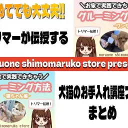 【 お手入れレクチャー 】これで安心！トリマー伝授！犬猫の手入れ方法ブログまとめ