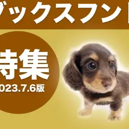 【 ダックスフント特集 】7/6現在在店中の胴長短足の大人気犬種!ダックス特集!