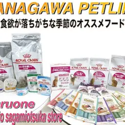 【 神奈川ペットライフ 】ワンちゃん&ネコちゃんの食欲減退の季節にオススメフード