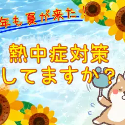 【 商品レビュー 】今年も猛暑!わんちゃんねこちゃんの熱中症対策!!