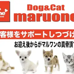 【 サポート 】業界屈指！マルワンの真骨頂はお客様を徹底サポートしつづけること。