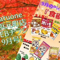【 商品レビュー 】横浜元町店WEBチラシ9月号！