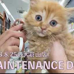 【 8/25の大倉山店の出来事 】みんなメンテナンスでピッカピカ!!