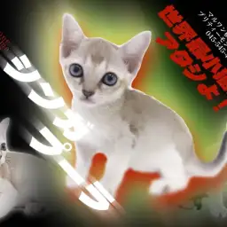 【 シンガプーラ 】コミカル度MEGAMAX!プリティーモンスターが横浜に現る!