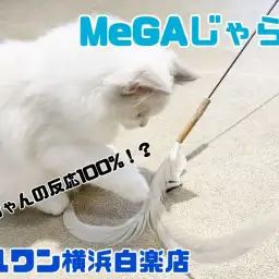 【 商品紹介 】全長なんと170cm！にゃんズ食いつき100%のMeGAじゃらし
