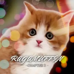 【 ラガマフィン 】夕やけ番長ことラガマフィンちゃんのディープな領域にせまる!