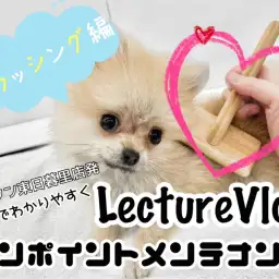 【 レクチャーvlog 】東日暮里店動画でワンポイントレクチャー！ブラッシング編