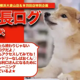 【 しばおの成長アルバム 】もっとお利口さんになっちゃうぞ!しばおの成長記!