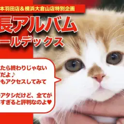 【 フォールデックス 】初登場!!希少な貴重なフォールちゃんの成長日記