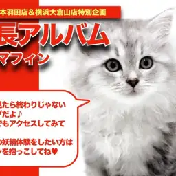 【 ラガマフィン 】クール＆ビューティ！二刀流の魅力たっぷりラガちゃんの成長日記