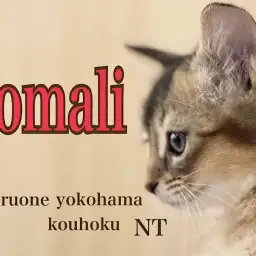 【 ソマリ 】可愛いお顔と声の持ち主！ルディカラーの美ボディさん