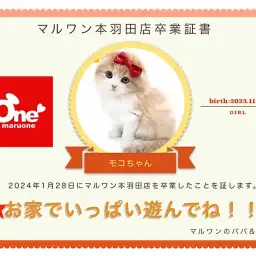 【 卒業記念 】スコちゃん卒業おめでとう!スタッフママよりお祝いの言葉〜卒業ブログ〜