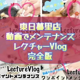 【 メンテナンスVlog各リンクまとめ 】動画でメンテナンスレクチャー完全版