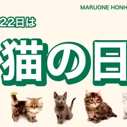【 猫の日 】2月22日は猫の日!本羽田店の可愛いニャンコ様をご紹介