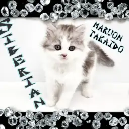 【 サイベリアン 】シルバータビーのゴージャスボディな癒し系ニャンコ登場!