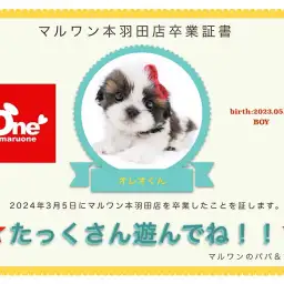 【 卒業記念 】オレオちゃん卒業おめでとう!今までの感謝を込めて〜卒業ブログ〜