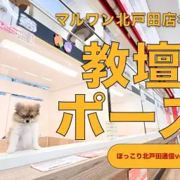 【 ほっこり北戸田通信 Vol.1 】教壇ポーズ