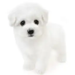 ビションフリーゼ