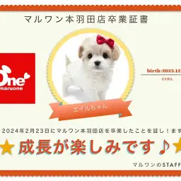 【 卒業記念 】エイルちゃん卒業おめでとう!今までの感謝を込めて〜卒業ブログ〜