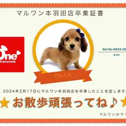 【 卒業記念 】テンくん卒業おめでとう!スタッフママよりお祝いの言葉〜卒業ブログ〜