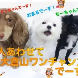 【 社交性トレーニング 】大倉山店自慢トリオ!今の時期に大切な経験をしています!